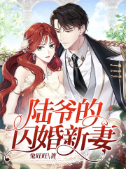 陆爷的闪婚新妻！