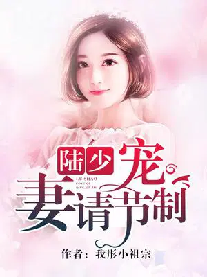 陆少宠妻请节制