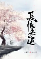 长恨来迟