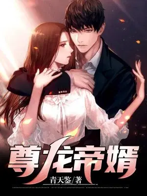 尊龙帝婿