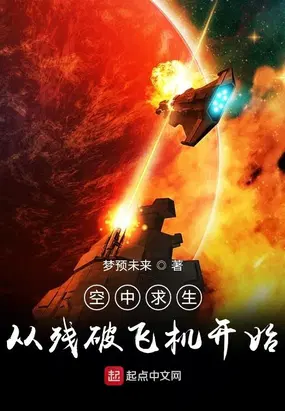 空中求生：从残破飞机开始