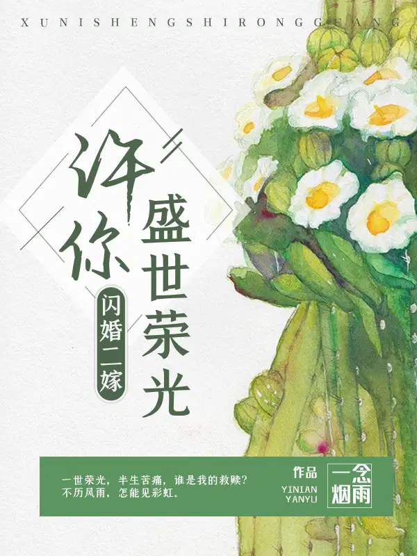 闪婚二嫁顾盼沈修梵