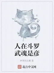 人在斗罗武魂是彦