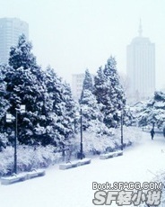 雪降的初夜