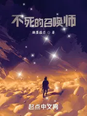 孤独的召唤师